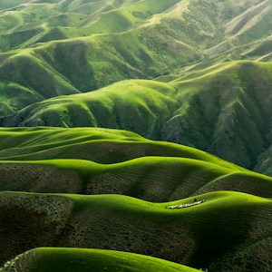 Green hills